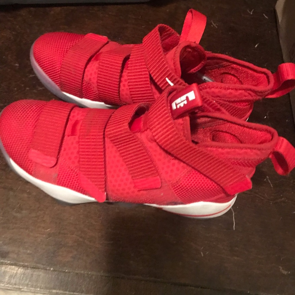 Lebron James Nike Zoom Basketball shoes